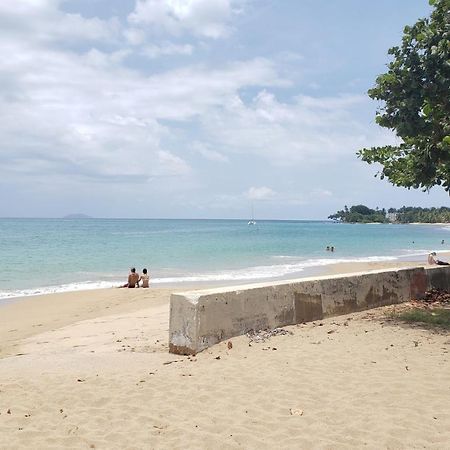 Wave View Village - Beach Front - Luxury Spot Rincón Eksteriør billede