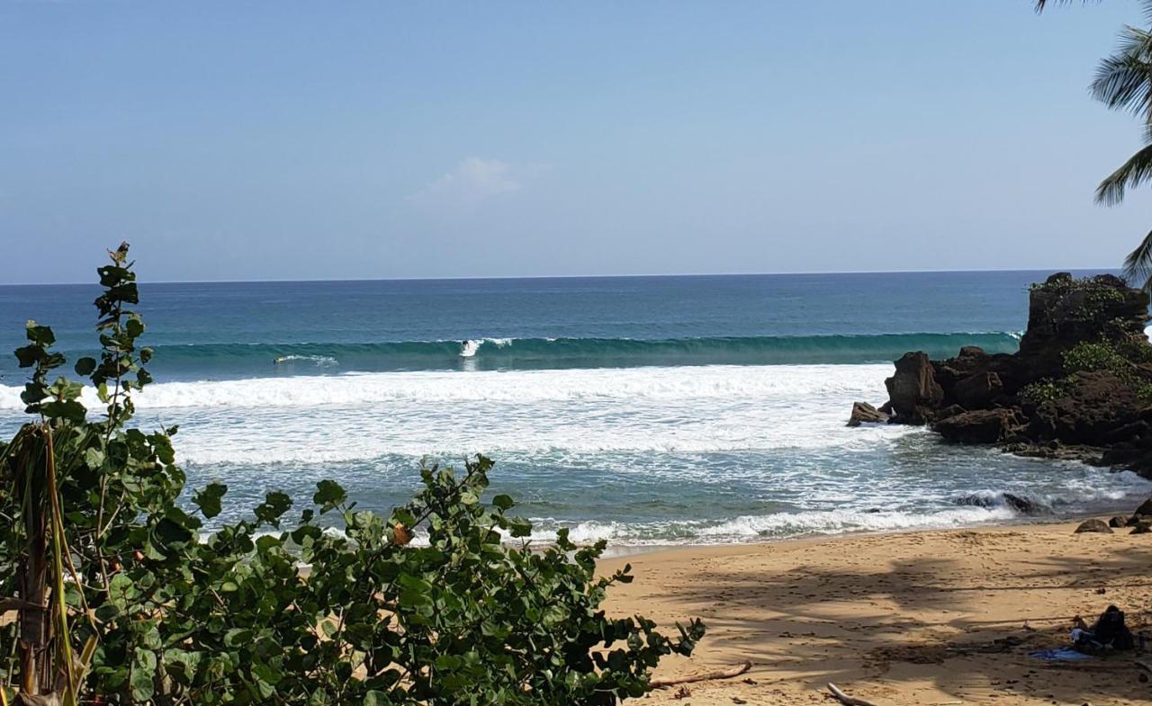 Wave View Village - Beach Front - Luxury Spot Rincón Eksteriør billede