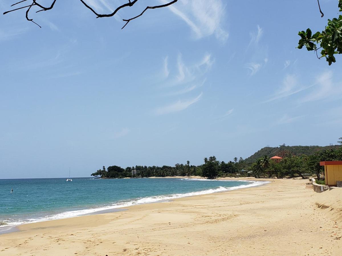 Wave View Village - Beach Front - Luxury Spot Rincón Eksteriør billede