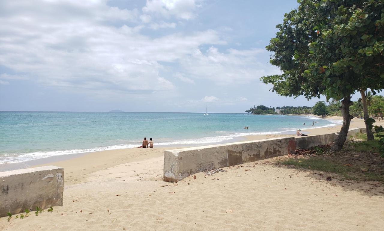 Wave View Village - Beach Front - Luxury Spot Rincón Eksteriør billede